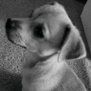 Meet your Posher, Paris